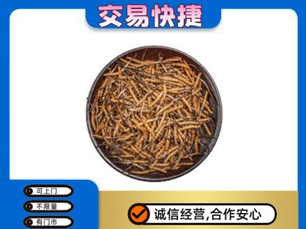 岳西县回收散虫草